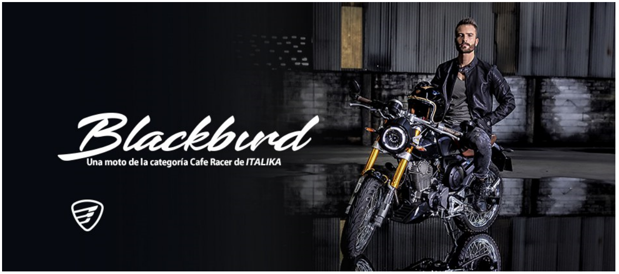 Presentamos la nueva BlackBird